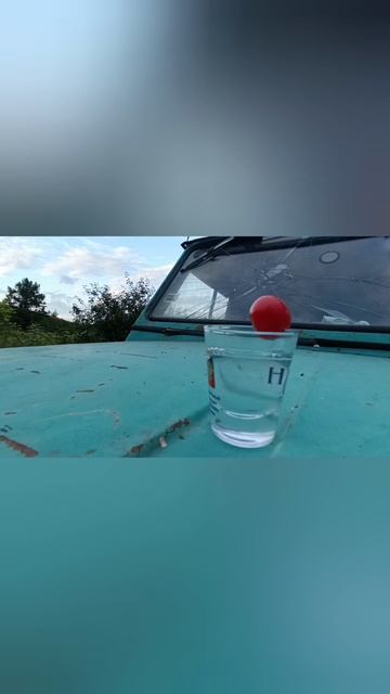 #луиза#природа#отдых#