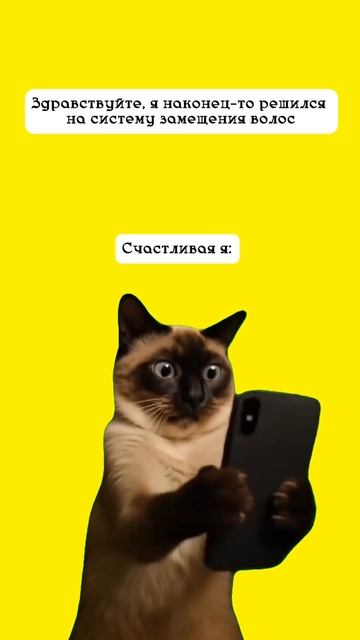 Именно такая истерика 🤣