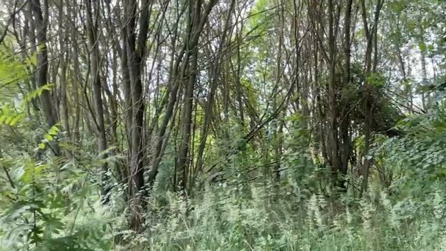 п.Сетовка ул. Солнечная