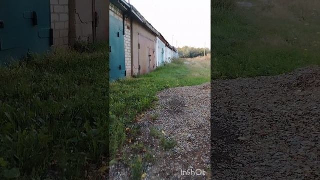 1000046928.mp4