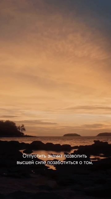 Контроль или доверие?