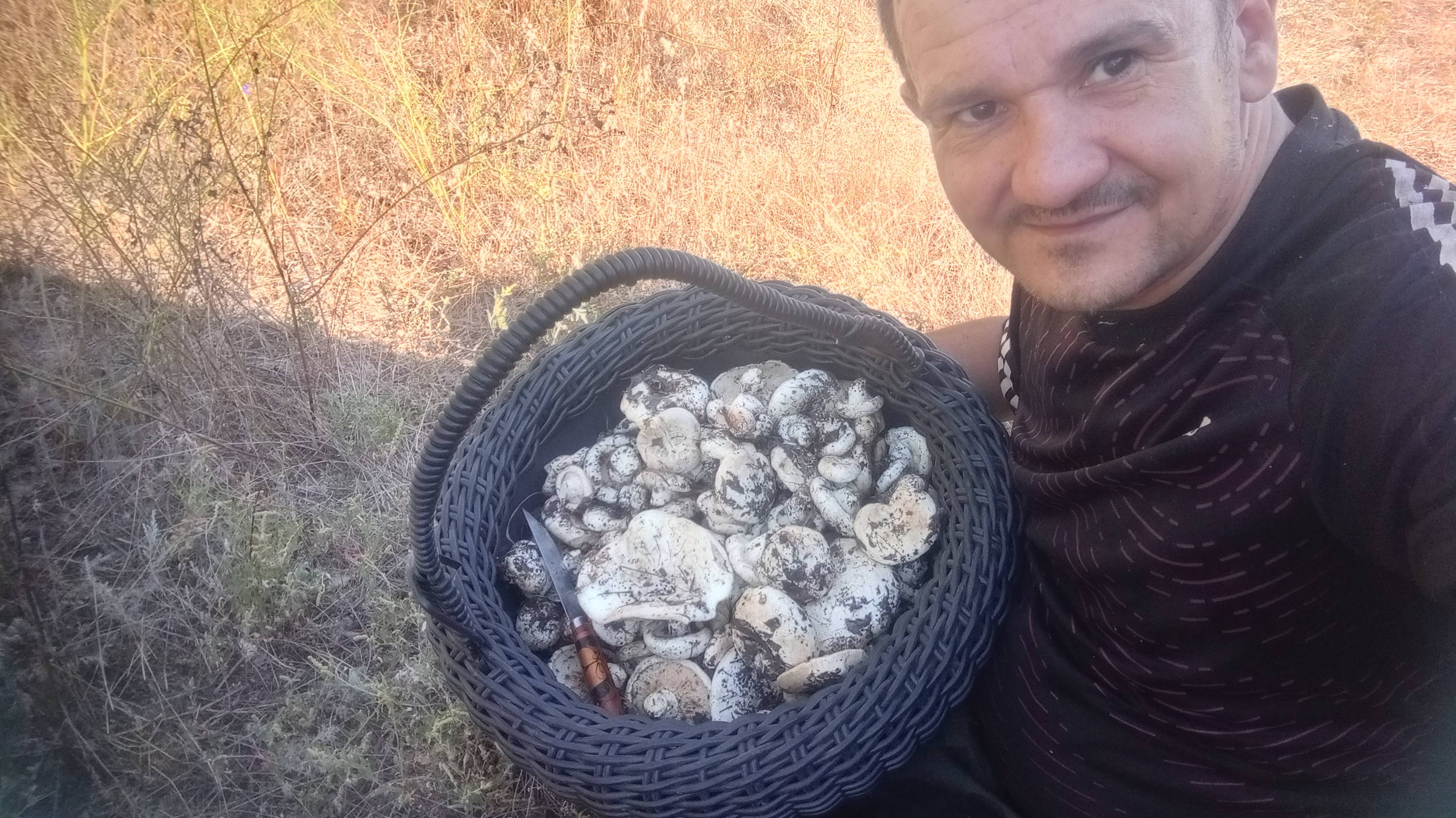 Грузди 2025#Начало Часть 1!!!