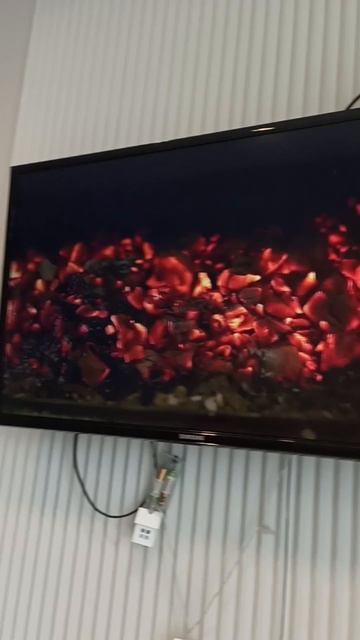 загорелся телевизор