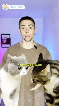 Запись на летний и годовой курсы ЕГЭ по обществу в тгк: @ax_vanya | #егэ #обществознание