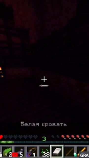 Minecraft Лучшее #1077