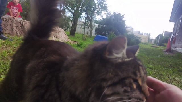 Начало. Приезд и подготовка на каникулах с д. Лёшей. База Белый стан. Август 2025г.