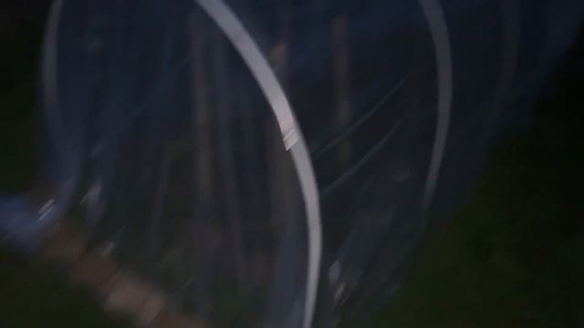 Часть 20. Егор почувствовал, что я гладил другую собаку