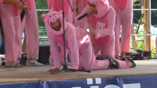 Чемпионат по свиному визгу