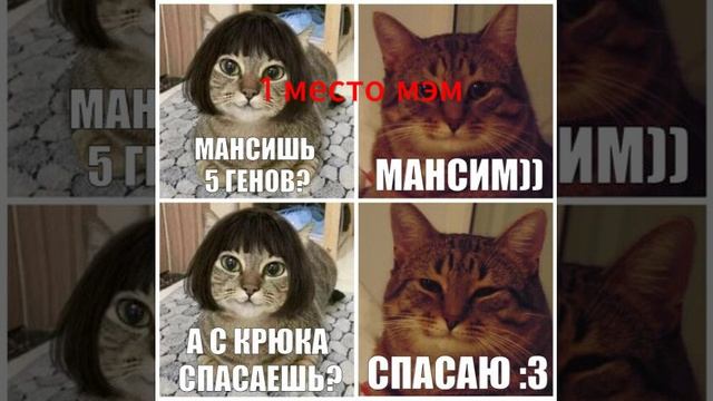 топ 1 мемов