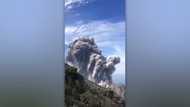 35 СЛУЧАЕВ, КОГДА ПРИРОДА СОШЛА С УМА