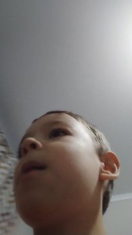 вырасти сад