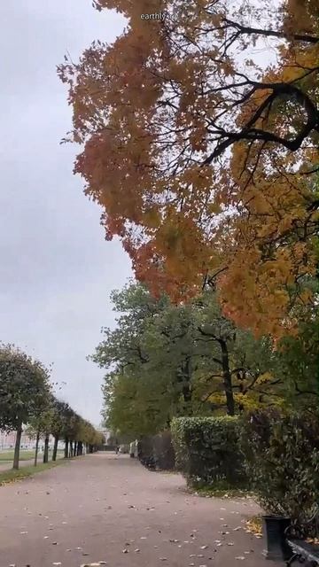 Золотая листва #земнойирий #кусково #искусство #скульптуры #история #путешествие