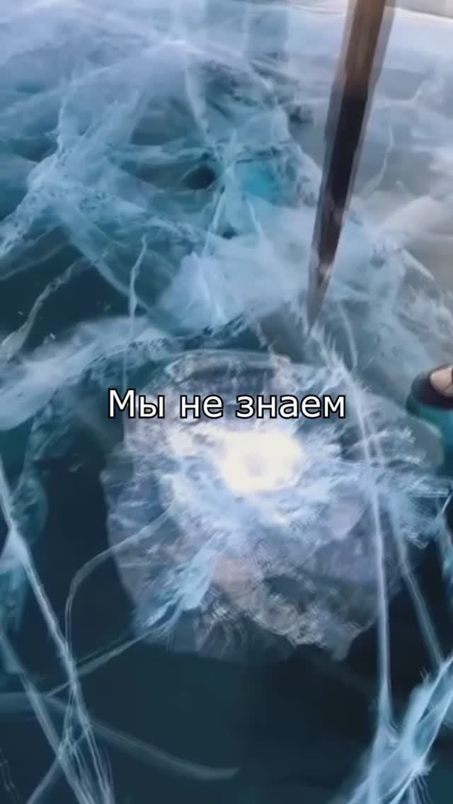 Лето подходит к концу, и скоро наступит зима с её снежными покровами и морозами. 🌨️