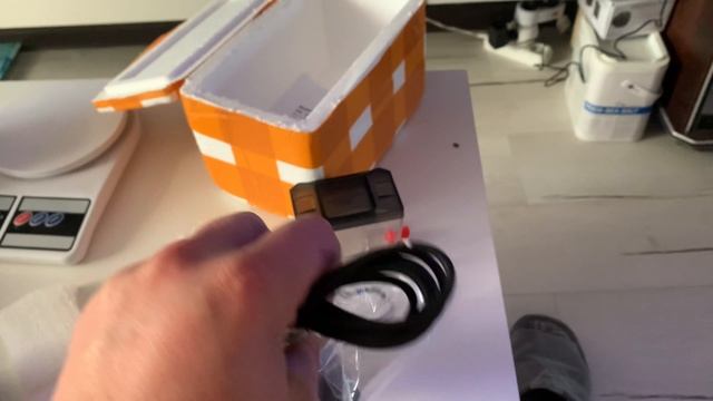 Борьба с нитчаткой.