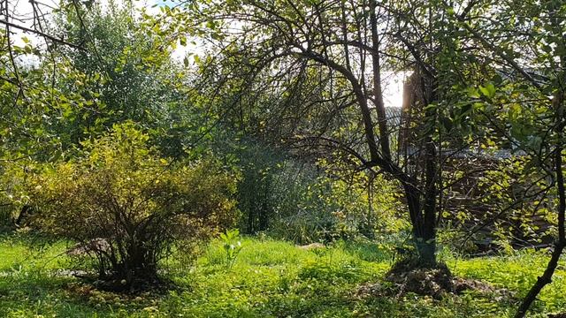 Есть то, о чём не думать не могу...