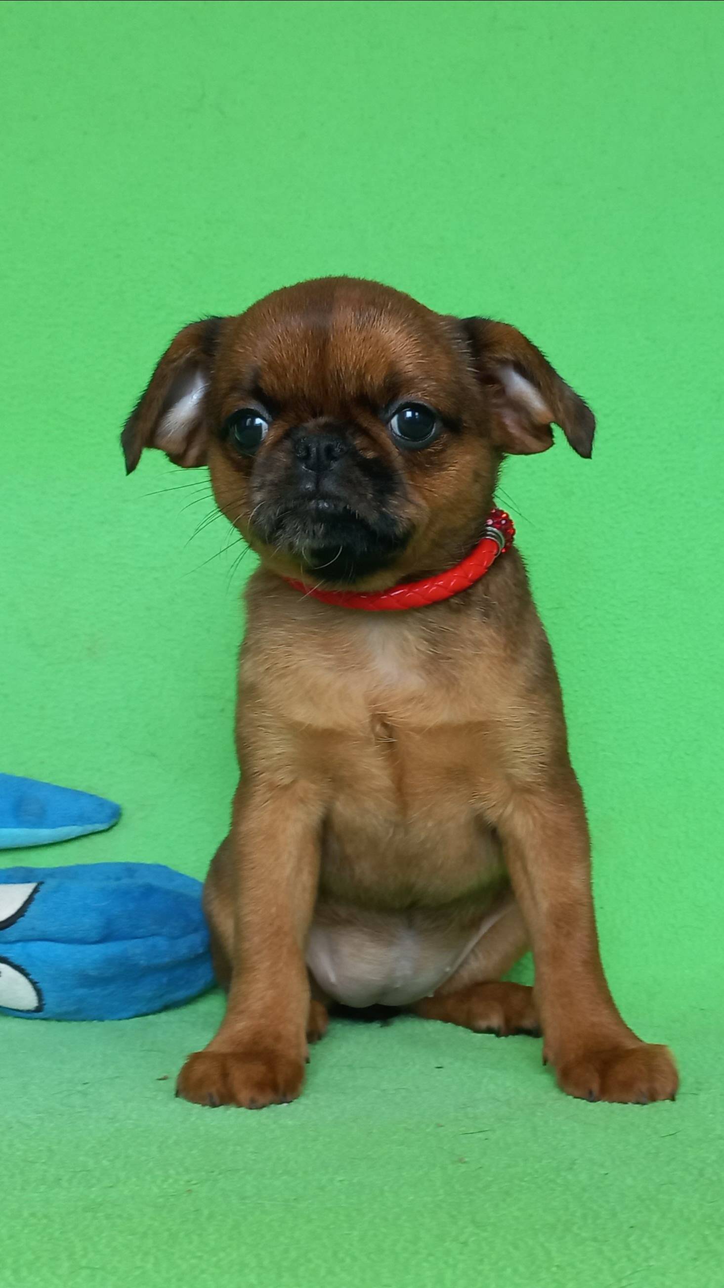 АЙ КАКАЯ ДЕВОЧКА