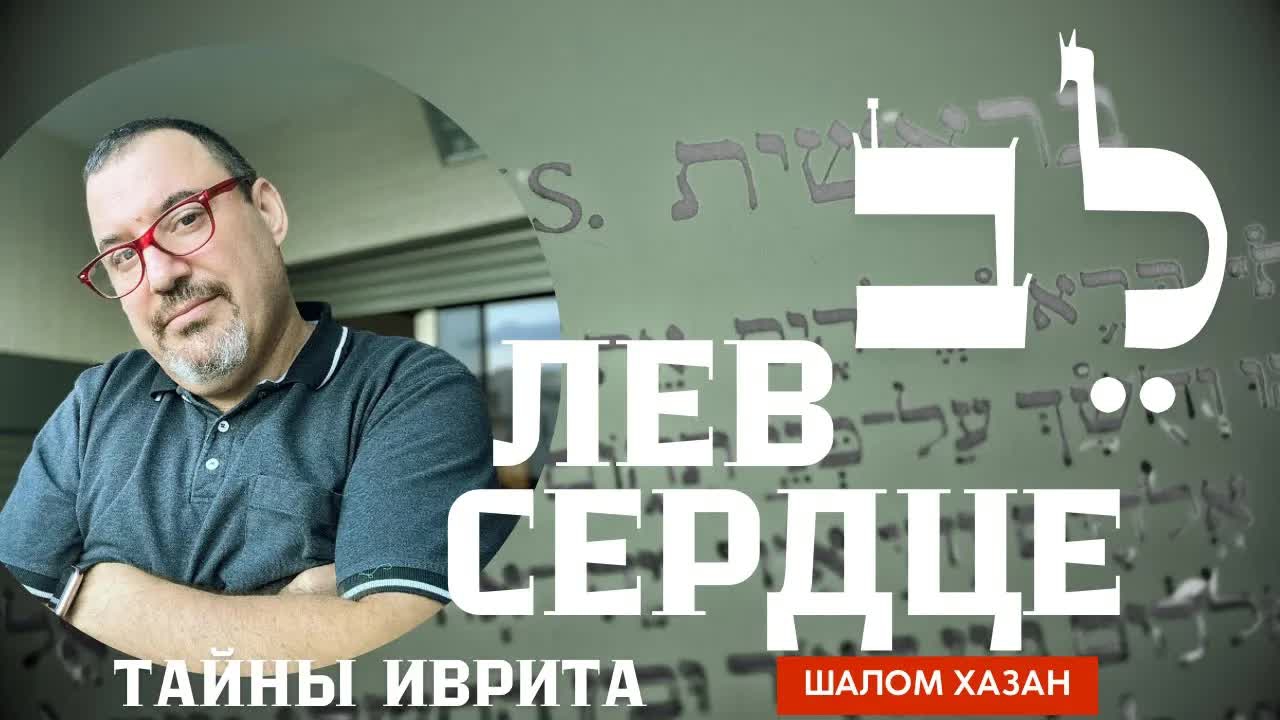 Тайны иврита: Лев - Сердце - לב