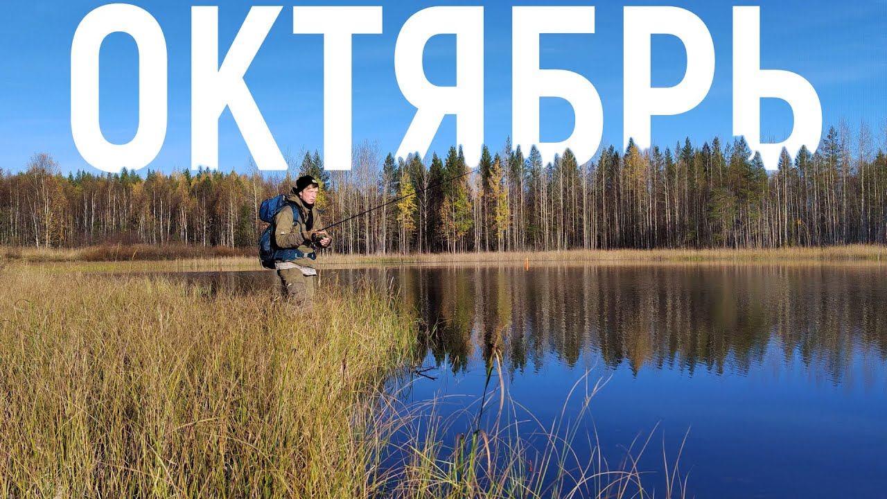 Рыбалка на Лесном Озере | Впервые ловлю на джиг 