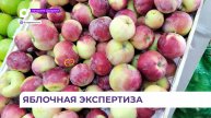 Подсчитано, сколько нитратов содержится в яблоках, привезённых в Приморье из разных стран