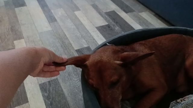 наберите 12 лайков на видео качеля