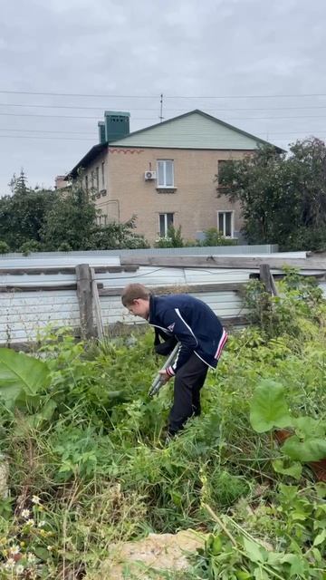 Субботник на территории Феофановского храма