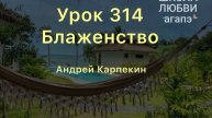 314. Блаженство. Школа Любви Агапэ.