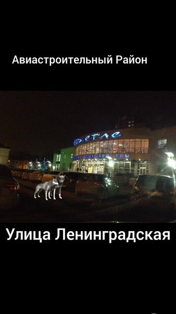 Казани Авиастроительный Район Улица Ленинградская Опасный Районов Волк
