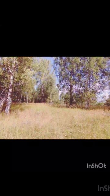 Как красива природа ♥️ 🌺