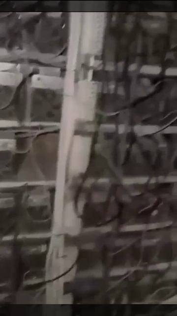 В Дагестане обнаружили майнинговую ферму в жилом доме