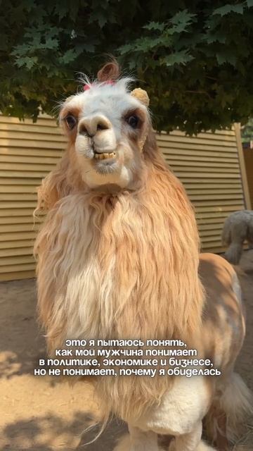 Действительно, странно 🤔