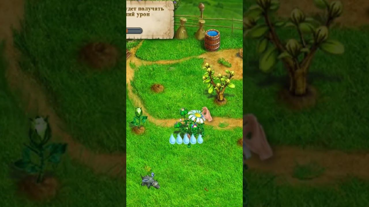 Защищаем цветочки #фермаайрис #айрисцветокстихий