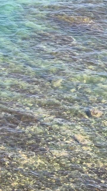 Мудрость жизни