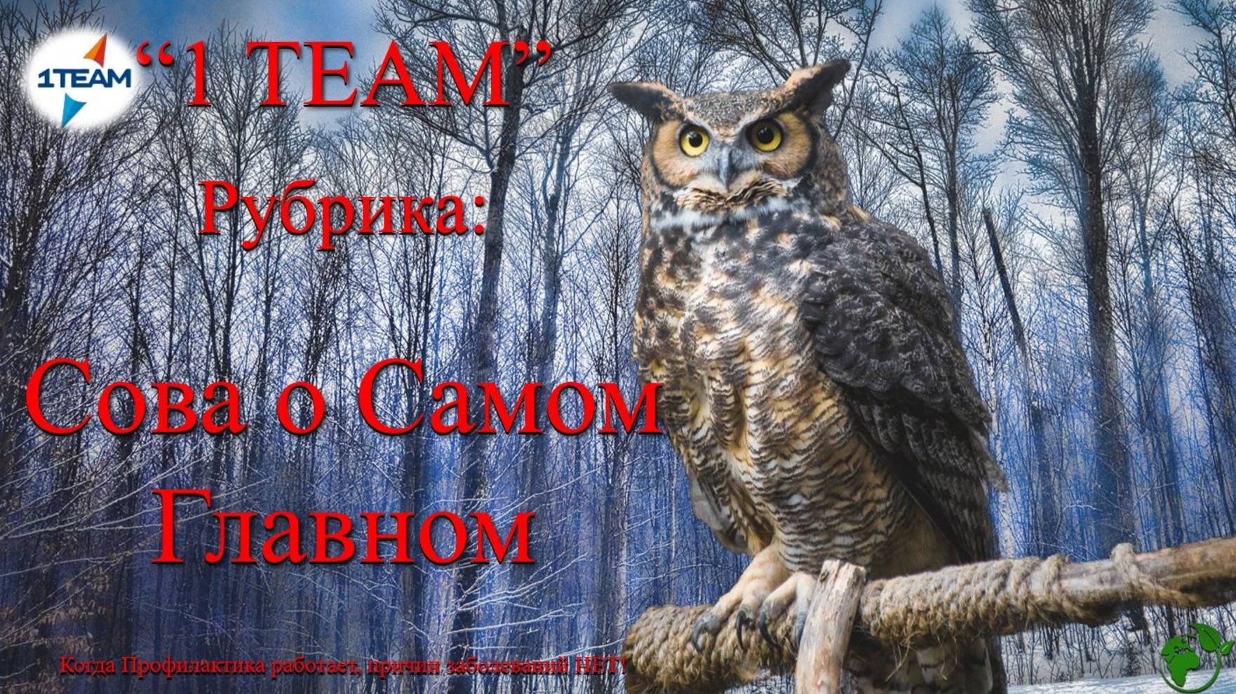 Сова о Главном. Пептидные комплексы для оздоровления Опорно-Двигательного аппарата. Системный подход