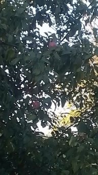 VID_20250821_072713.mp4