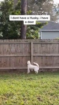 Посмеемся (923)