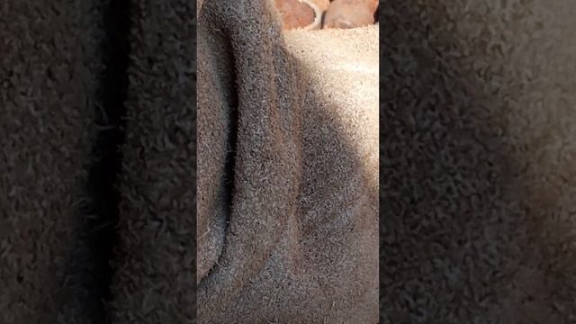 Прожёг трубу при сварке