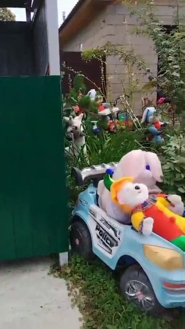 Контейнерную площадку превратили в цветущий уголок