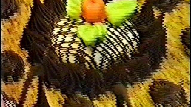 1995-11-21 СТОКФЭКТОР: ДЕНЬ РОЖДЕНИЯ ХМЕЛЁВОЙ