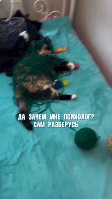 Да действительно)))