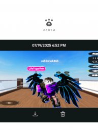 трансляция мои трюки