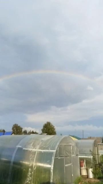 Дождик Моросит И Красивоя Радуга