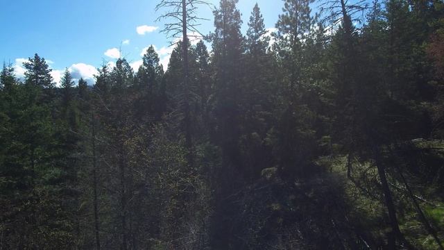 успокаивающие видио