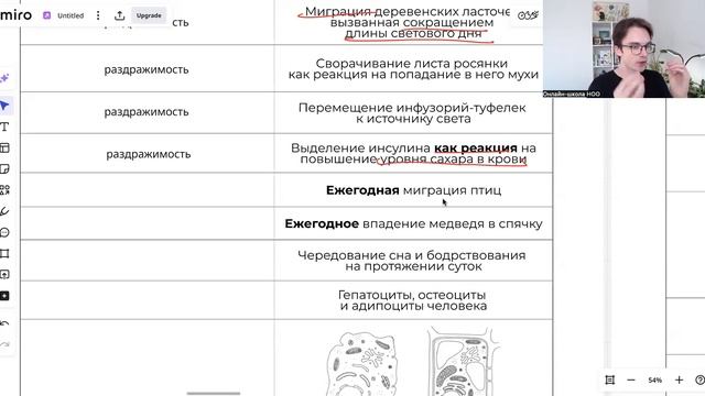 Введение в биологию 2 - часть 2