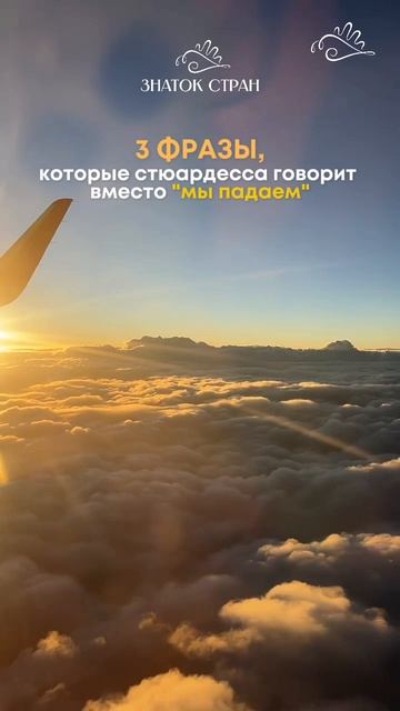 ЭТО СПАСЁТ ВАМ ЖИЗНЬ👇🏻