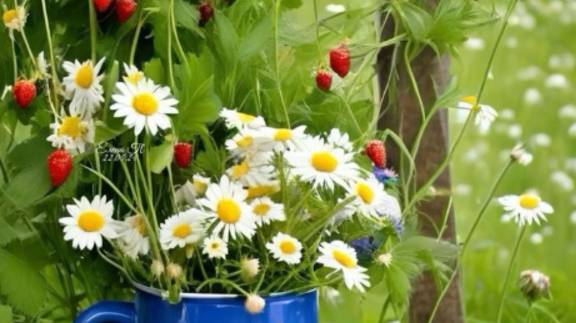 Красивые пожелания доброго и прекрасного дня 🌞 Музыкальная открытка