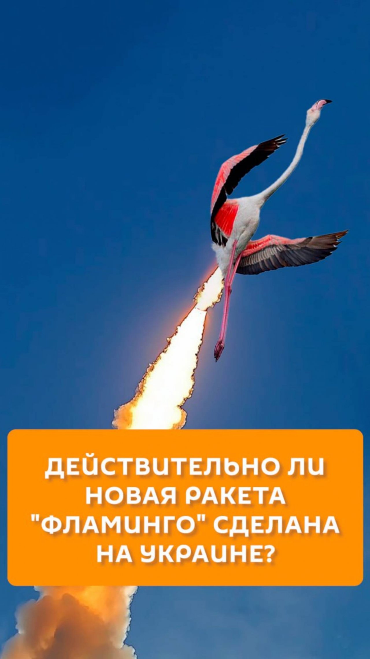 Действительно ли новая ракета "Фламинго" сделана на Украине?