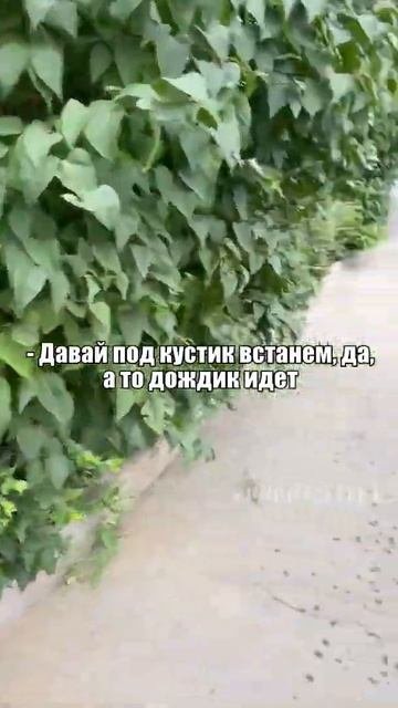 ДЕВУШКИ БЫЛИ НЕ ПРОТИВ   #shorts (1)