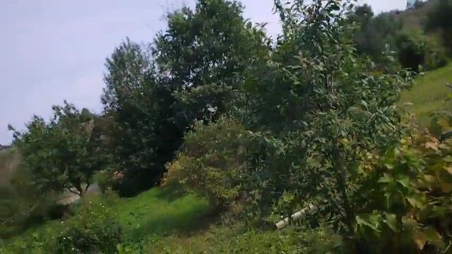 Поехали в гости к старшей дочери.