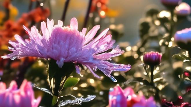 Красивые пожелания доброго и прекрасного дня 🌞 Музыкальная открытка