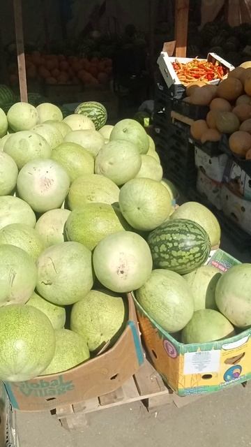 Щедрая осень! Арбузные развалы. Новый сорт?